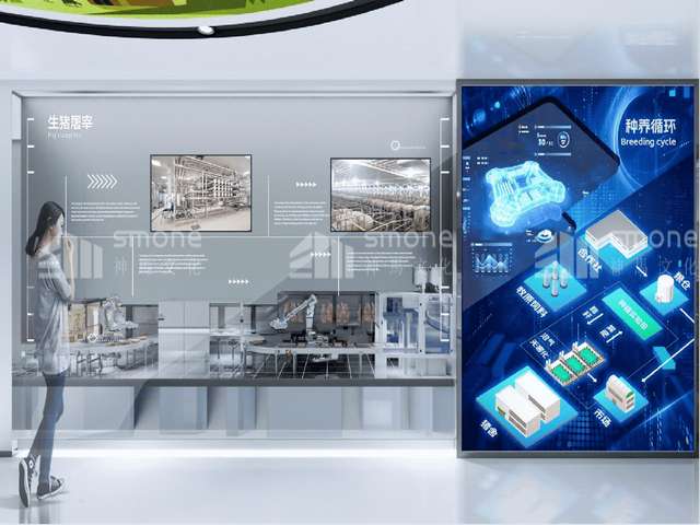 安徽想做京司吐司条件